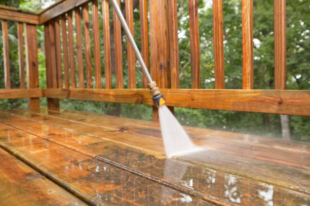 Best Sidewalk and Walkway Cleaning  in Mill Creek East, WA